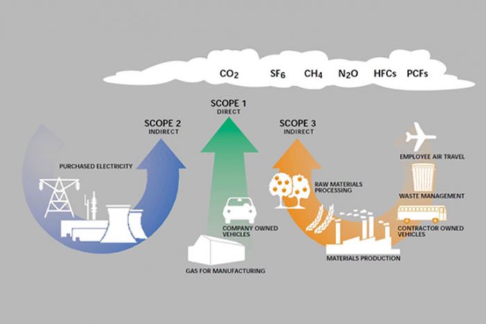 Sustainability and Carbon Footprint: A Beginner’s Approach - Nuevo ...